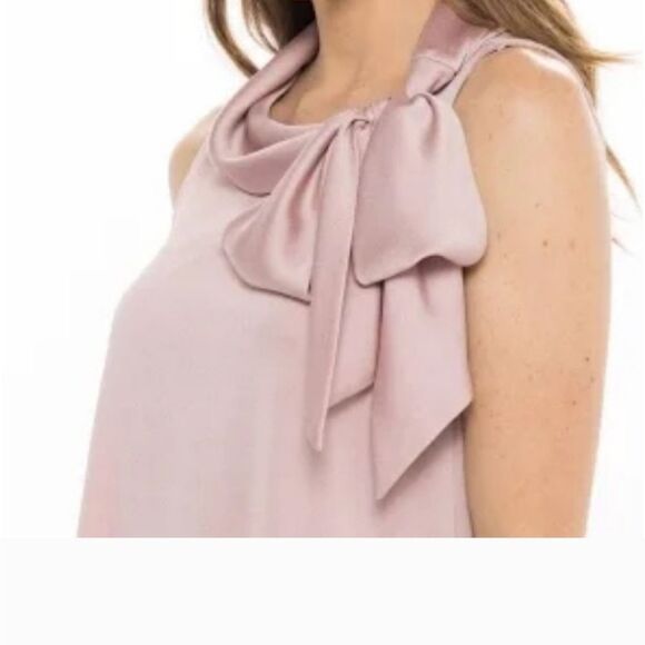 Signature By Robbie Bee Blush Hammered Satin Shift With Tie Detail Size 12P NWT - Picture 2 of 5